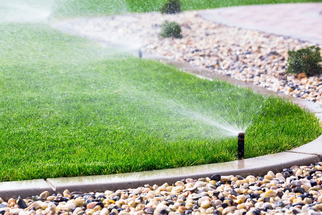 Pop-up sprinkler heads spraying a lawn with overspray landing on rock mulch and pavement