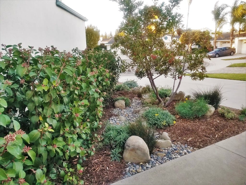 Residential front yard dry creek bed of river cobble winding through drought tolerant plantings