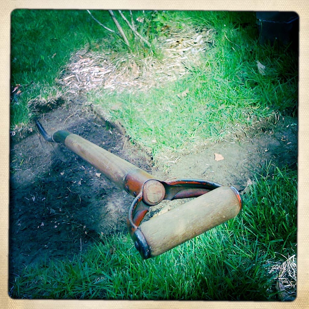 Manual sod lifter tool slicing lawn turf into liftable squares