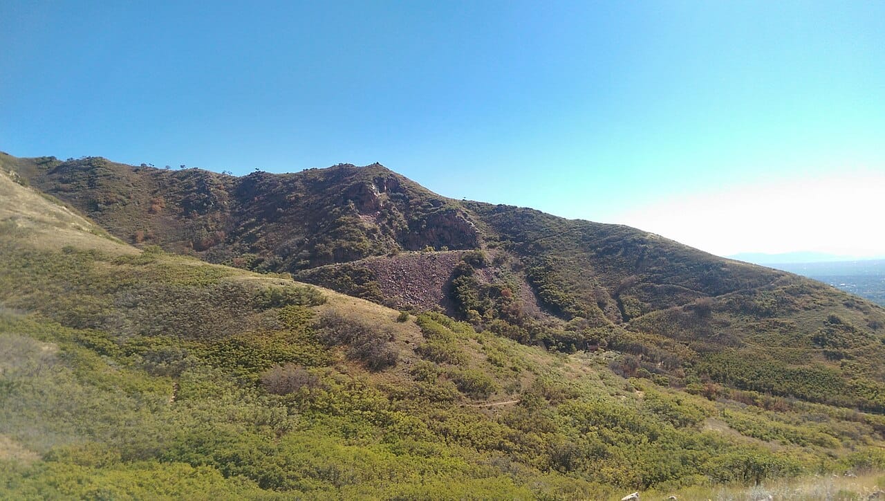 Gambel oak and native scrub covering the Wasatch foothills above Red Butte Garden in Salt Lake City