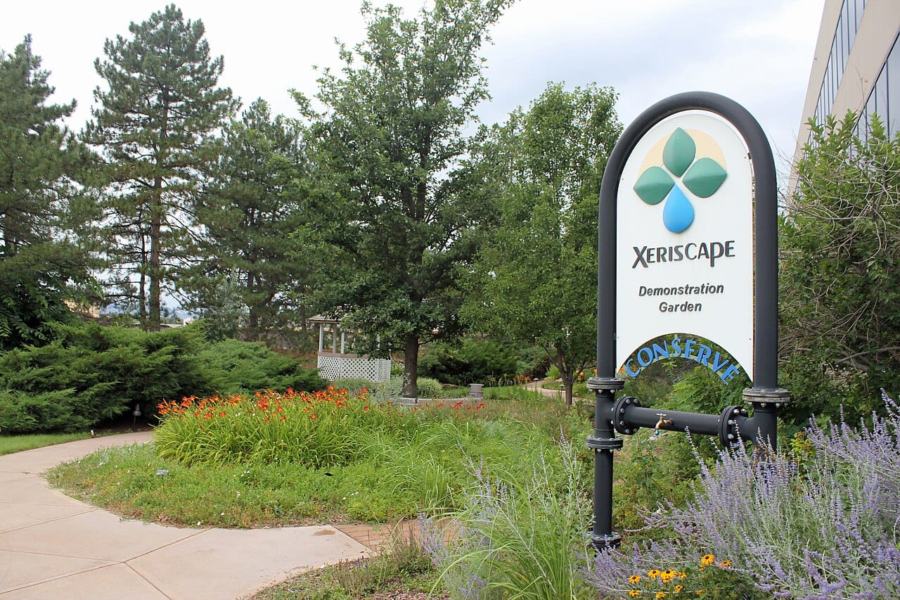 Xeriscape Demonstration Garden sign surrounded by Russian sage and blooming waterwise perennials in Colorado