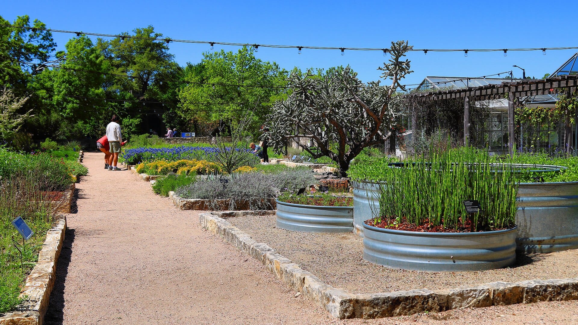 Sunny gravel path through a colorful waterwise demonstration garden
