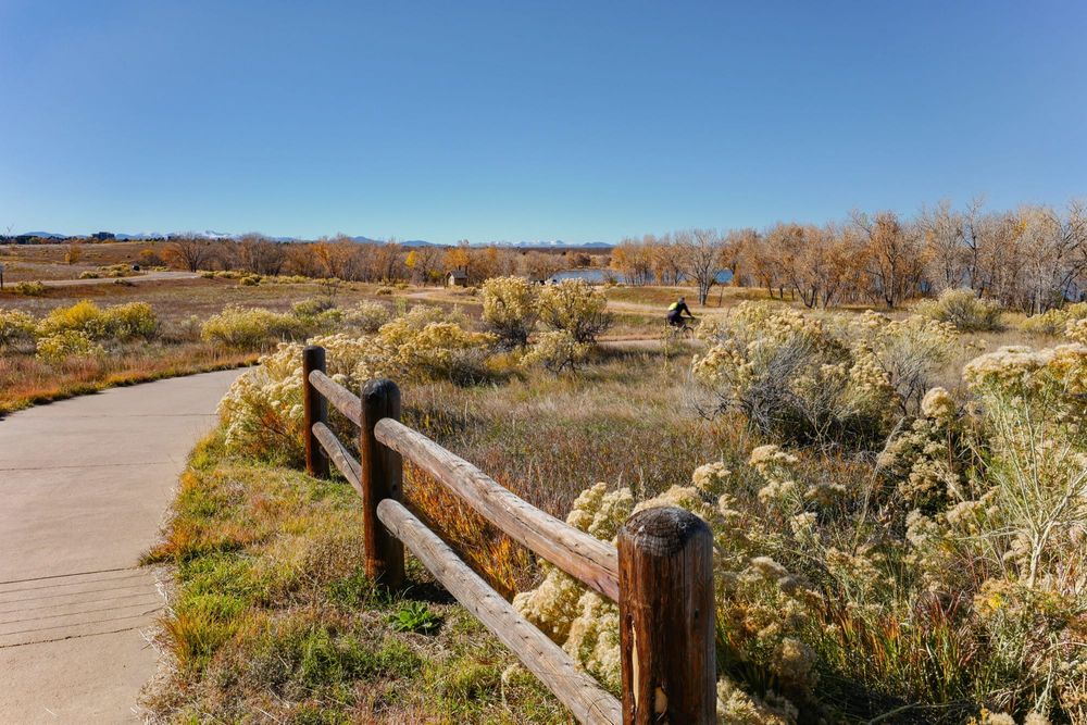 Colorado Lawn Replacement Rebates (Complete Guide)