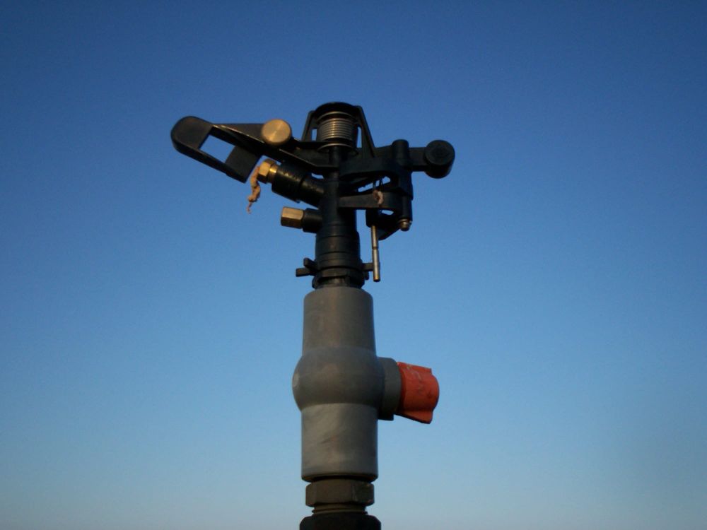 Converting Sprinklers to Drip: Step by Step