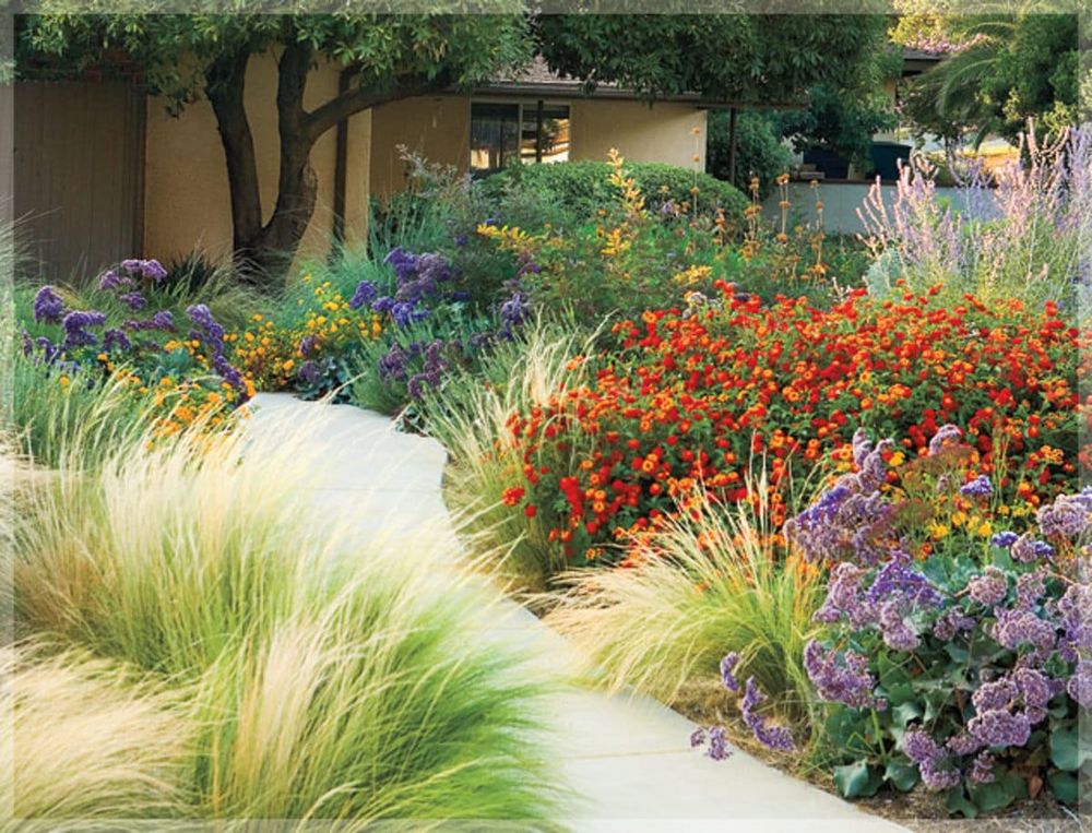 First-Year Xeriscape Care: The Make-or-Break Season
