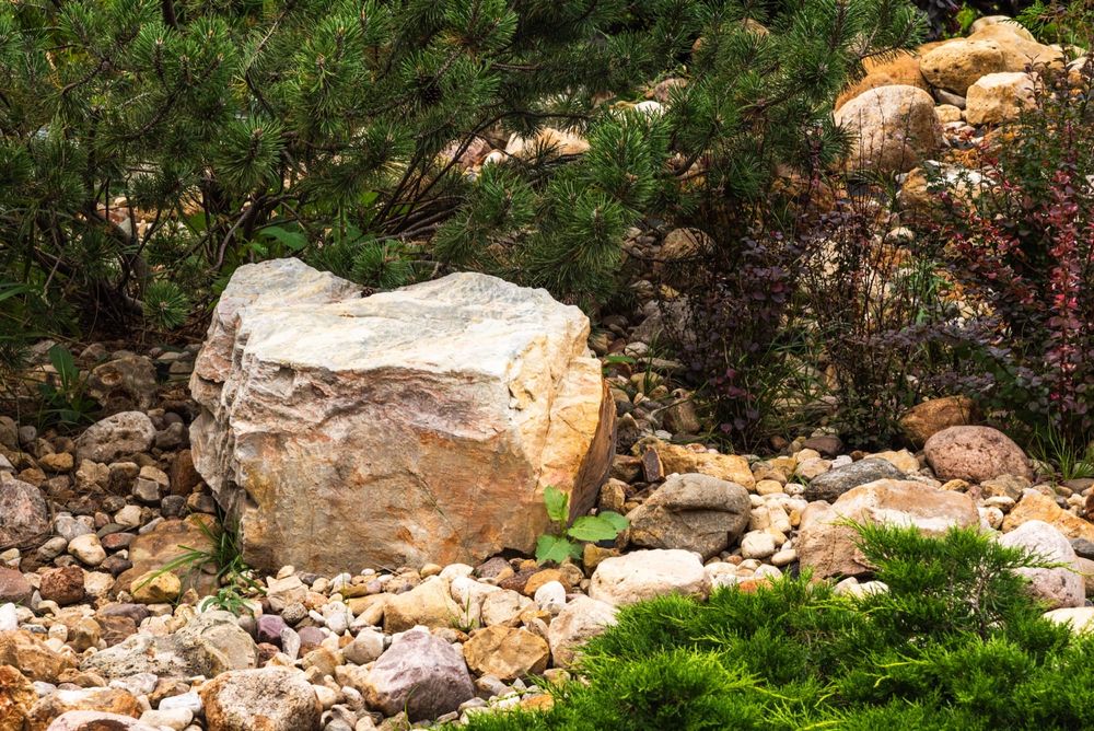 Gravel vs. Wood Mulch: Which Belongs Where in a Xeriscape