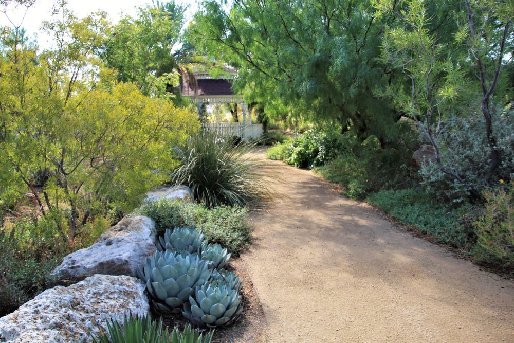 Low-Maintenance Landscaping: The Honest Hierarchy