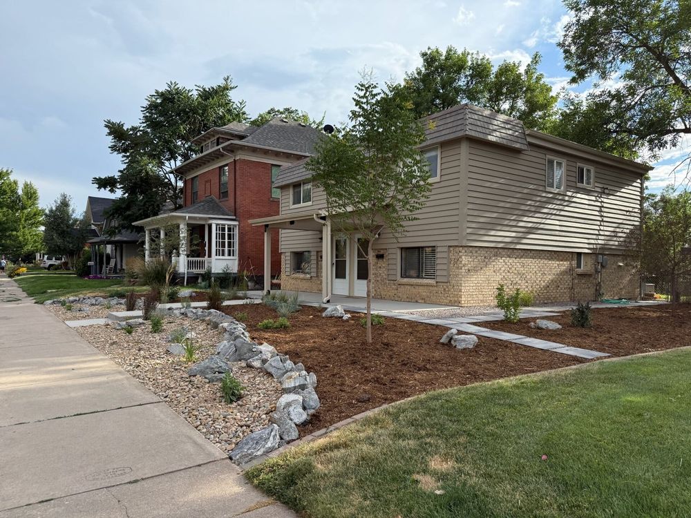 Xeriscape vs. Lawn: The Real Cost of Grass