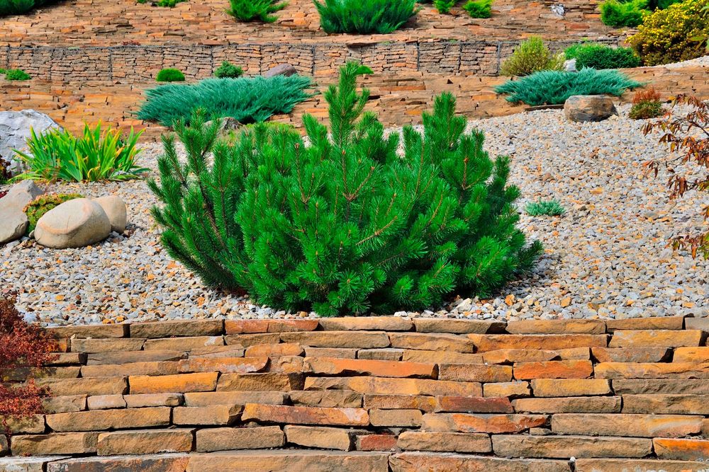 Xeriscaping in Colorado Springs