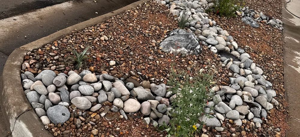 Xeriscaping in Denver: Plants, Rebates & Design for the Front Range