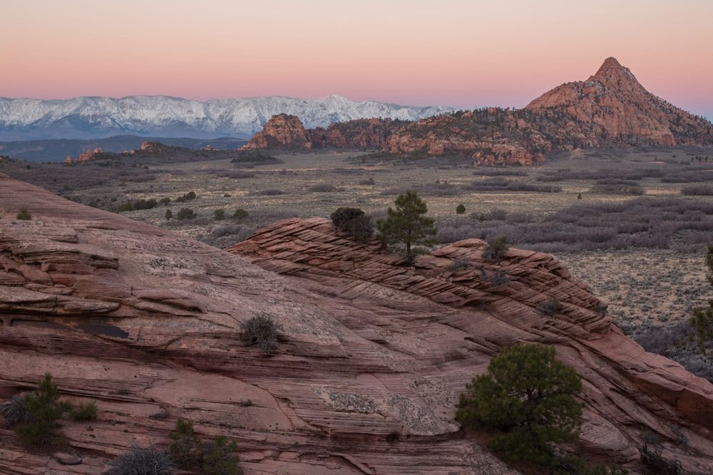 Xeriscaping in St. George & Southern Utah