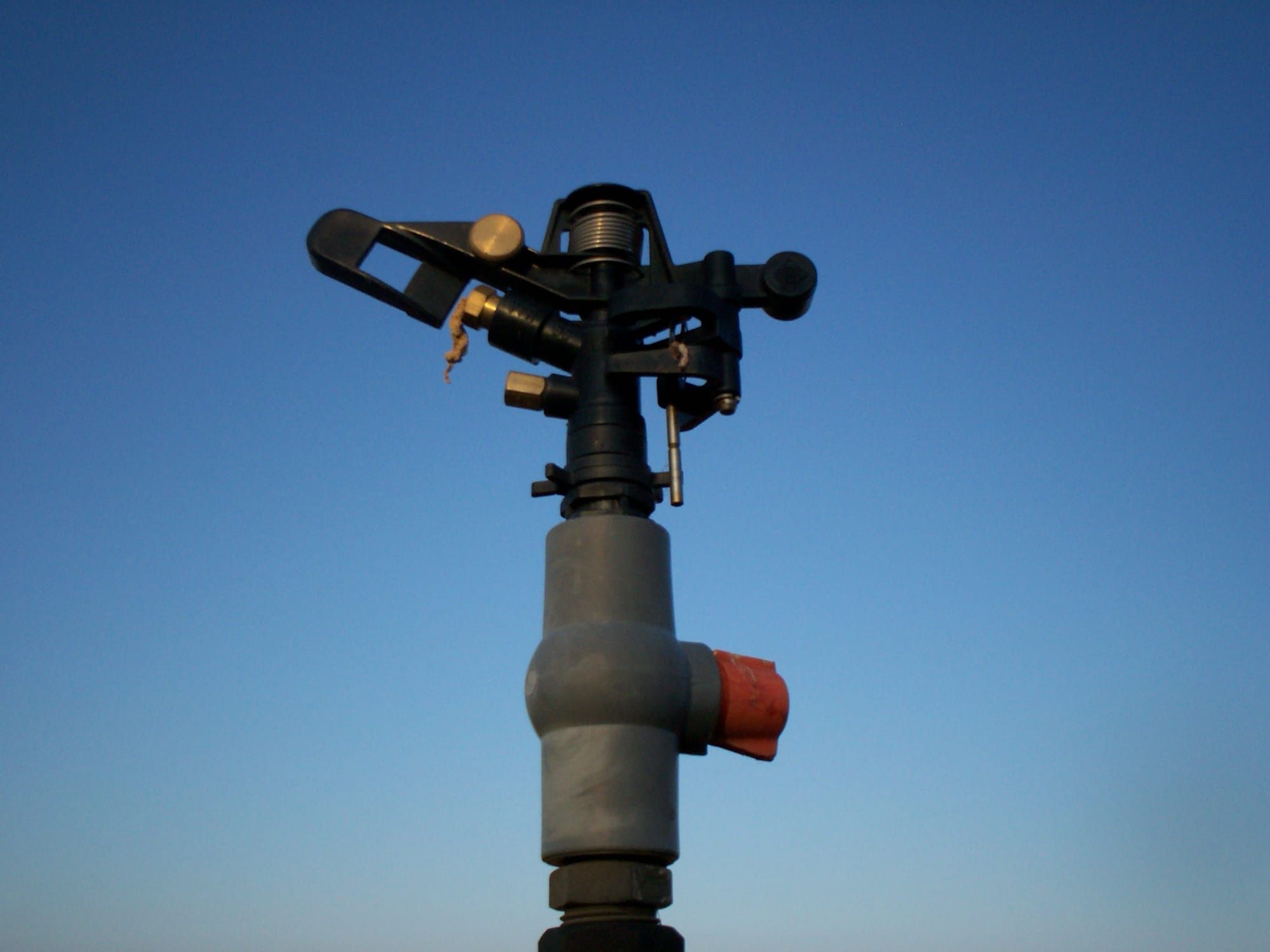 Converting Sprinklers to Drip: Step by Step