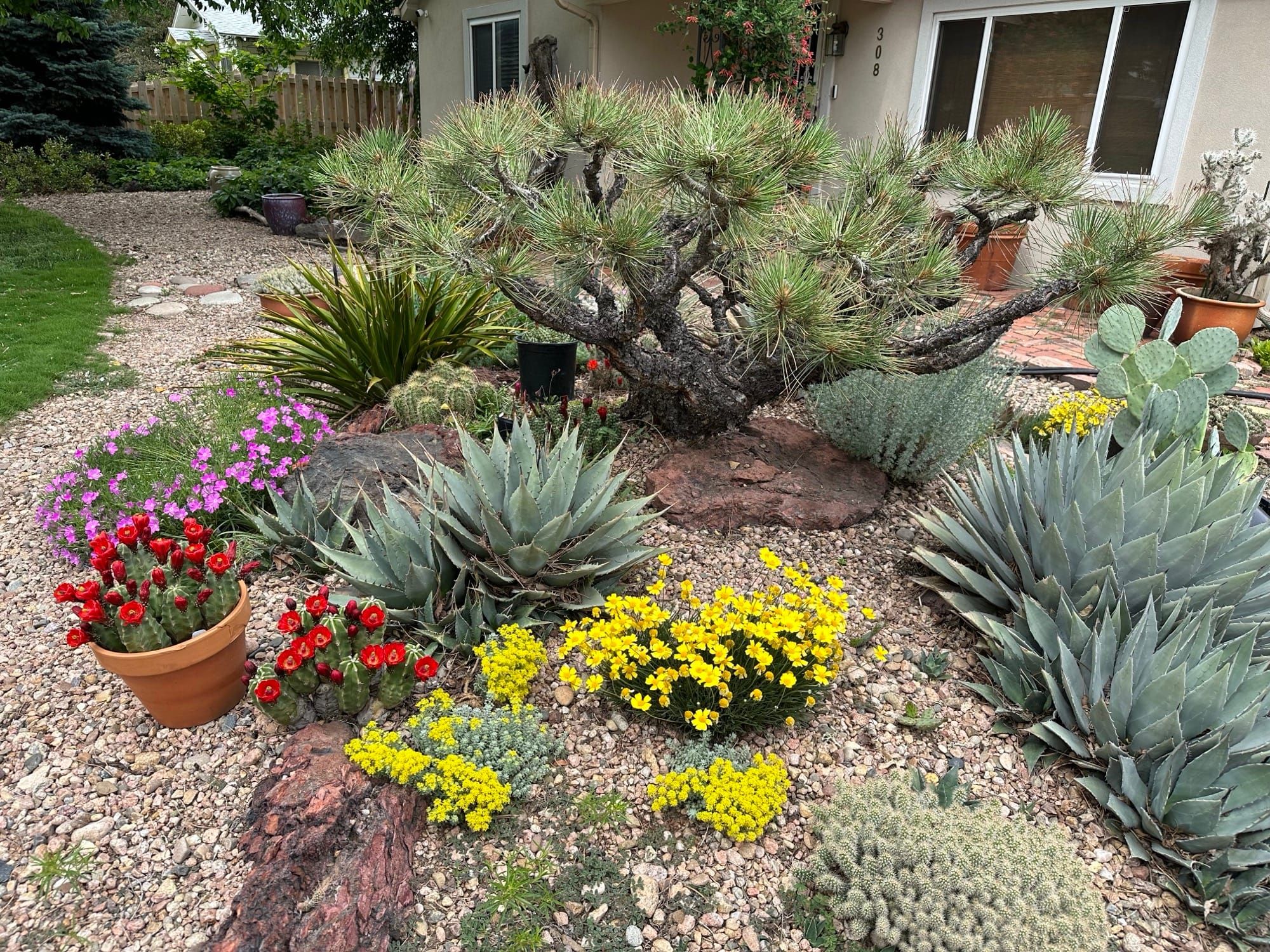 25 Front Yard Xeriscape Ideas for Serious Curb Appeal