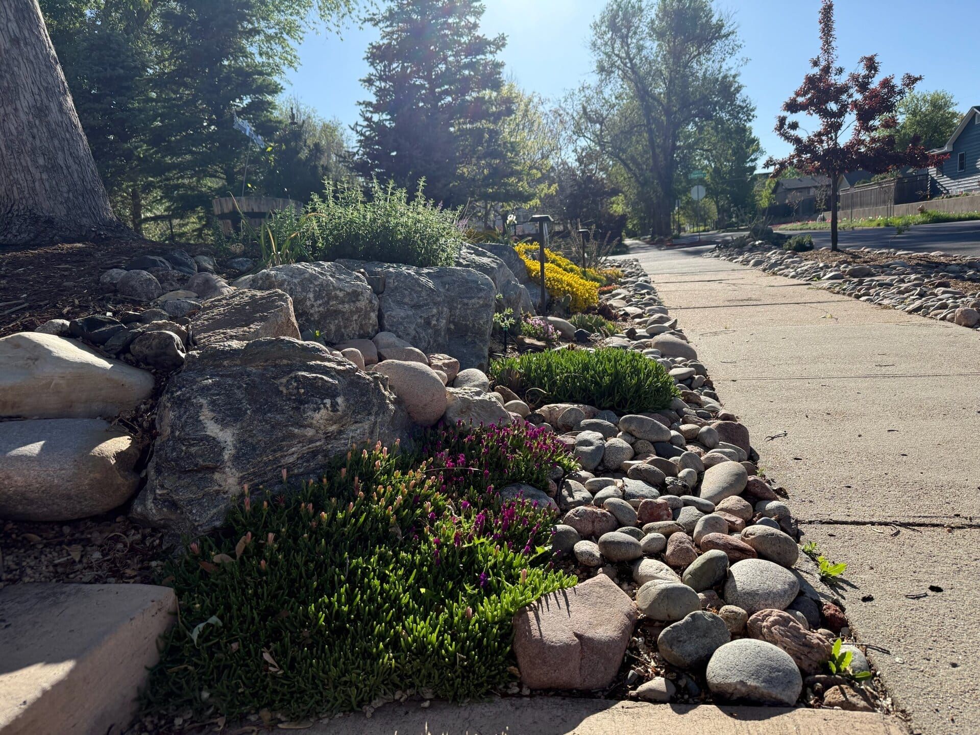 Hell Strip Landscaping: Fix the Hardest Part of Your Yard