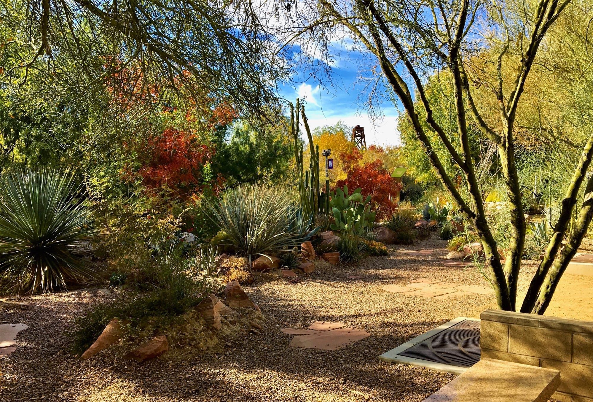 Xeriscaping Ideas & Inspiration for a Beautiful Low-Water Yard
