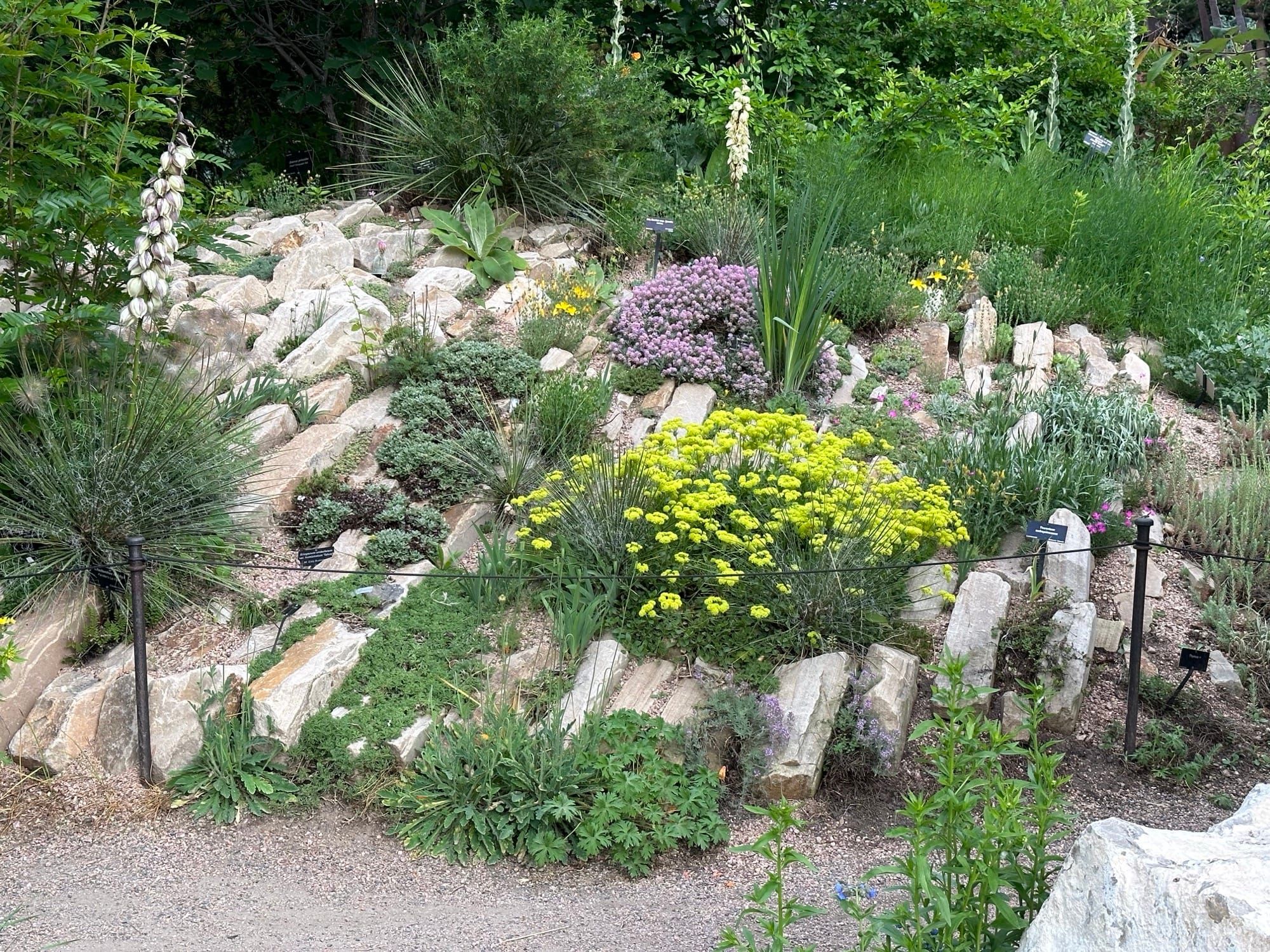 Xeriscaping a Slope: Erosion-Proof Design