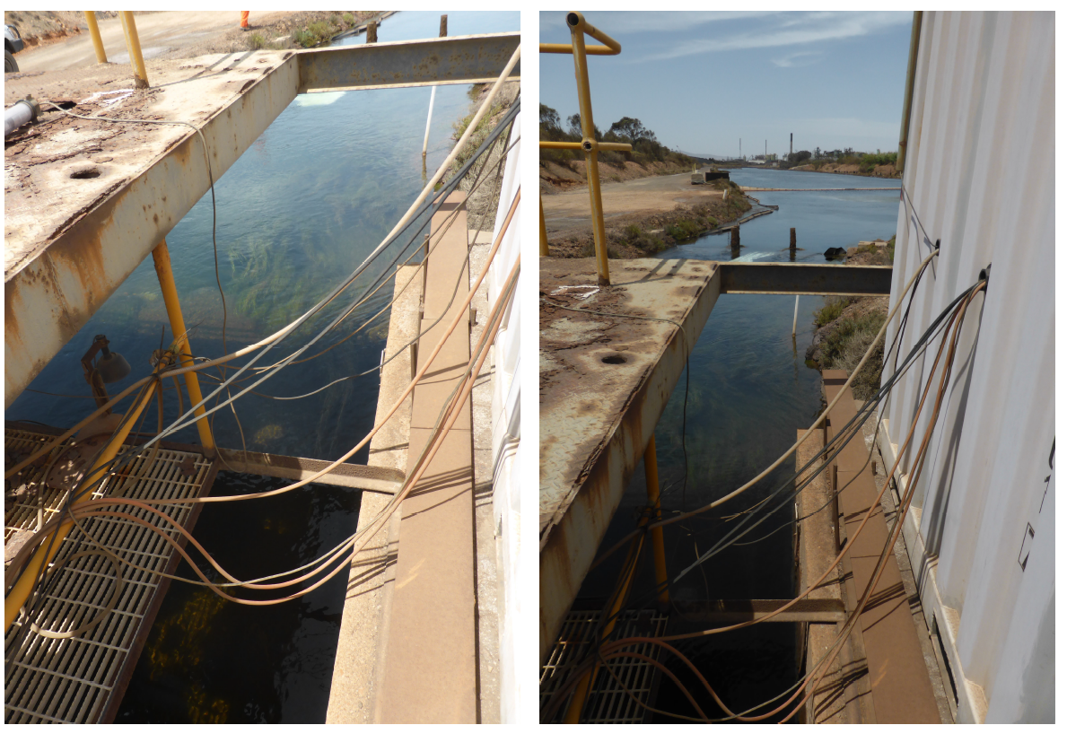 Raising Hell: Issue 2: Of Thoughts and Prayers