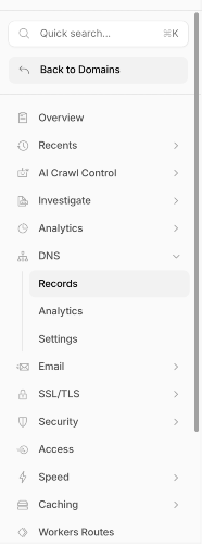 Cloudflare Menu position for DNS Records
