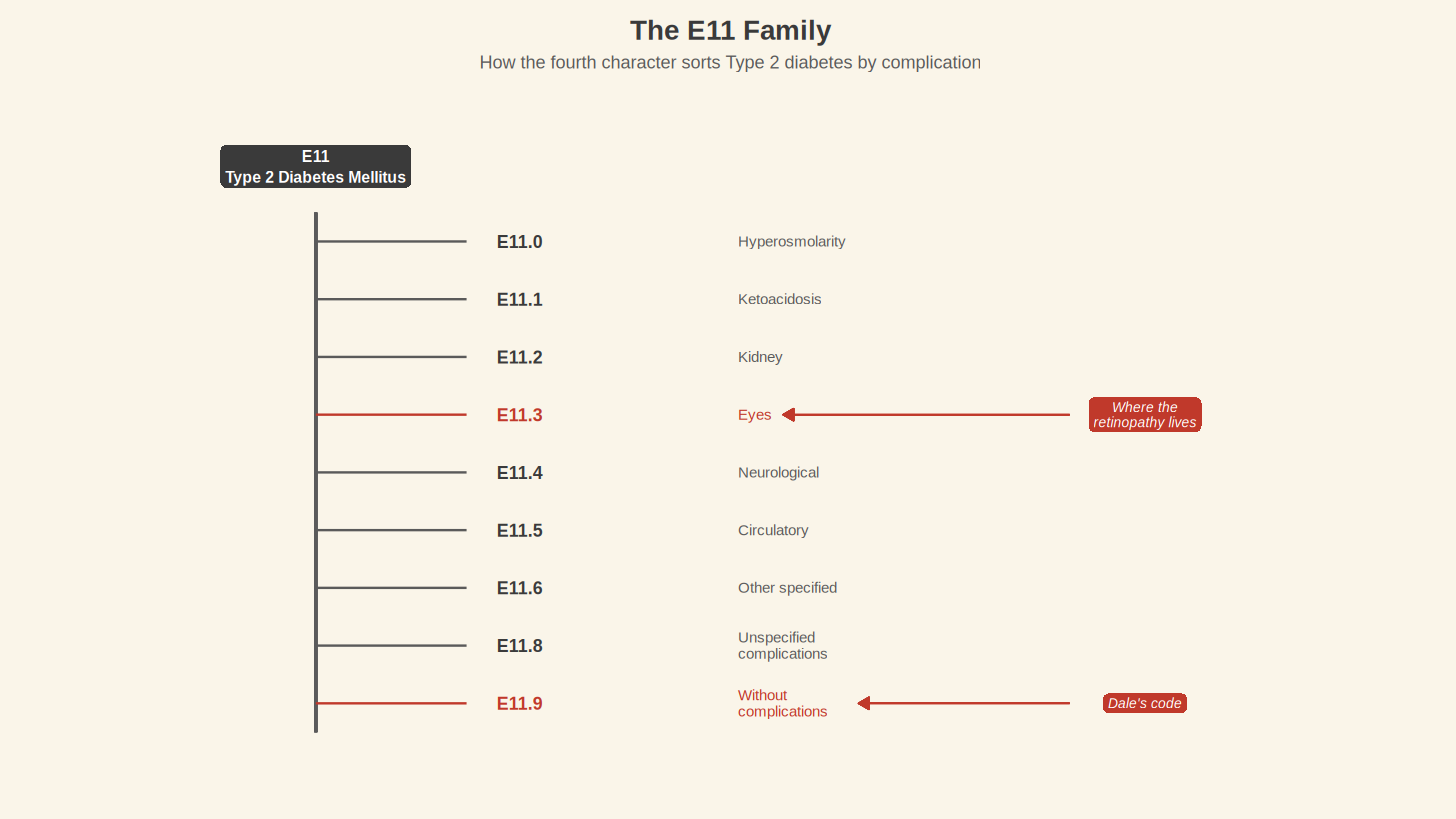 The E11 Family — How the fourth character sorts Type 2 diabetes by complication.