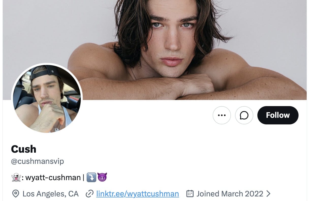 Screenshot of the Cush / @cushmansvip X profile and its promotional link.