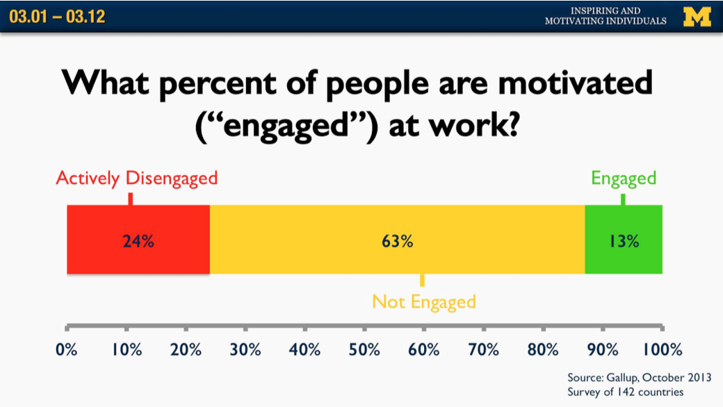 Team Member Engagement