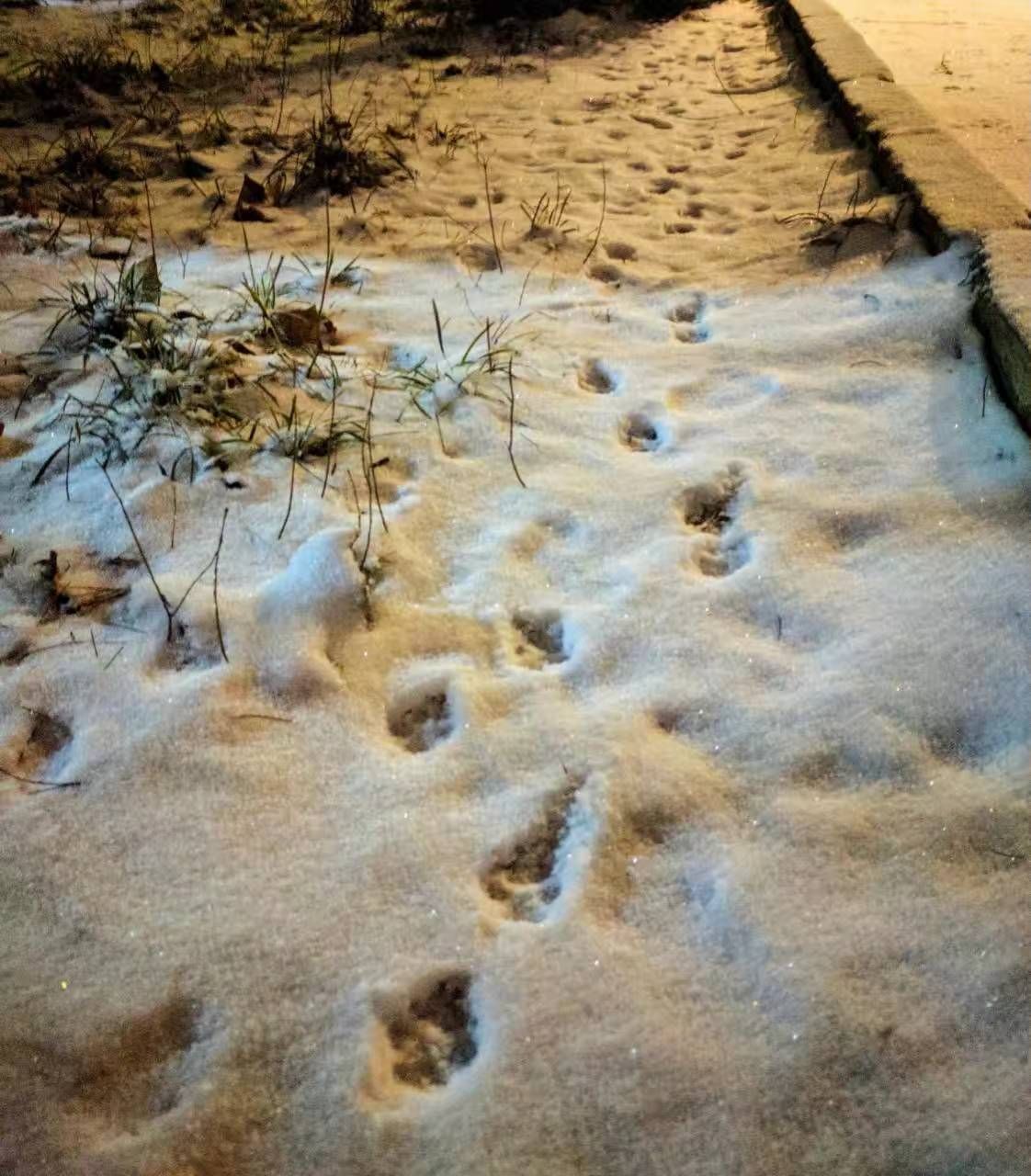 雪夜