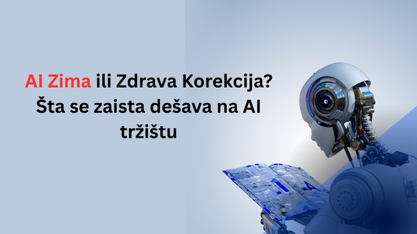 AI zima ili zdrava korekcija? Šta se zaista dešava na AI tržištu