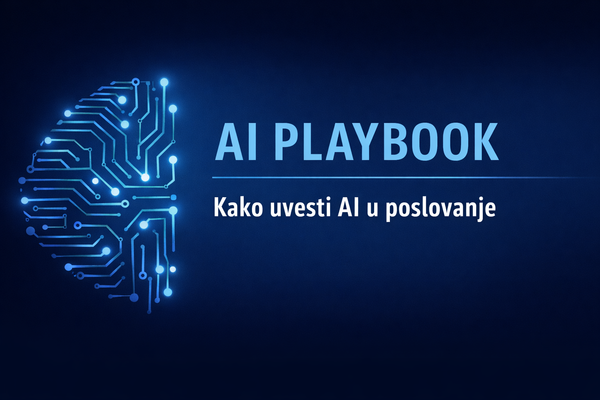 AI Playbook, kako uvestu AI u poslovanje pdf.