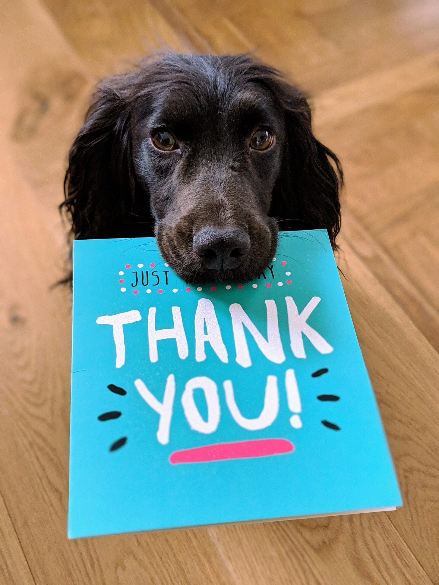 Go Beyond Being Thankful By Doing One Simple Thing