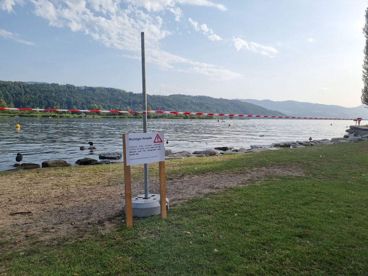 Dringender Aufruf nicht im See zu baden