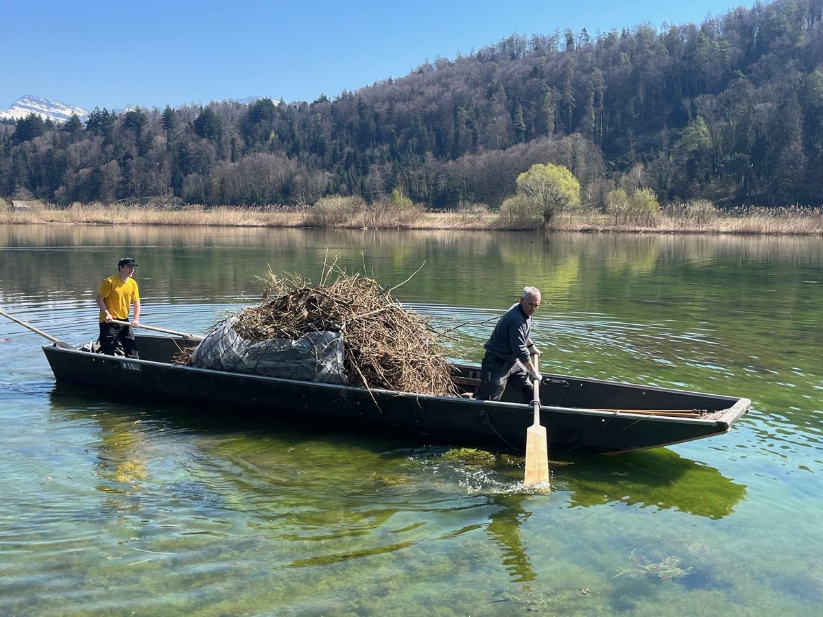 Seeufer- und Waldreinigung 2025