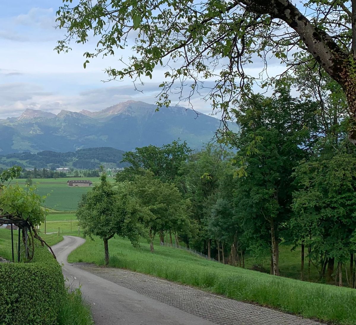 Spaziergang in der March