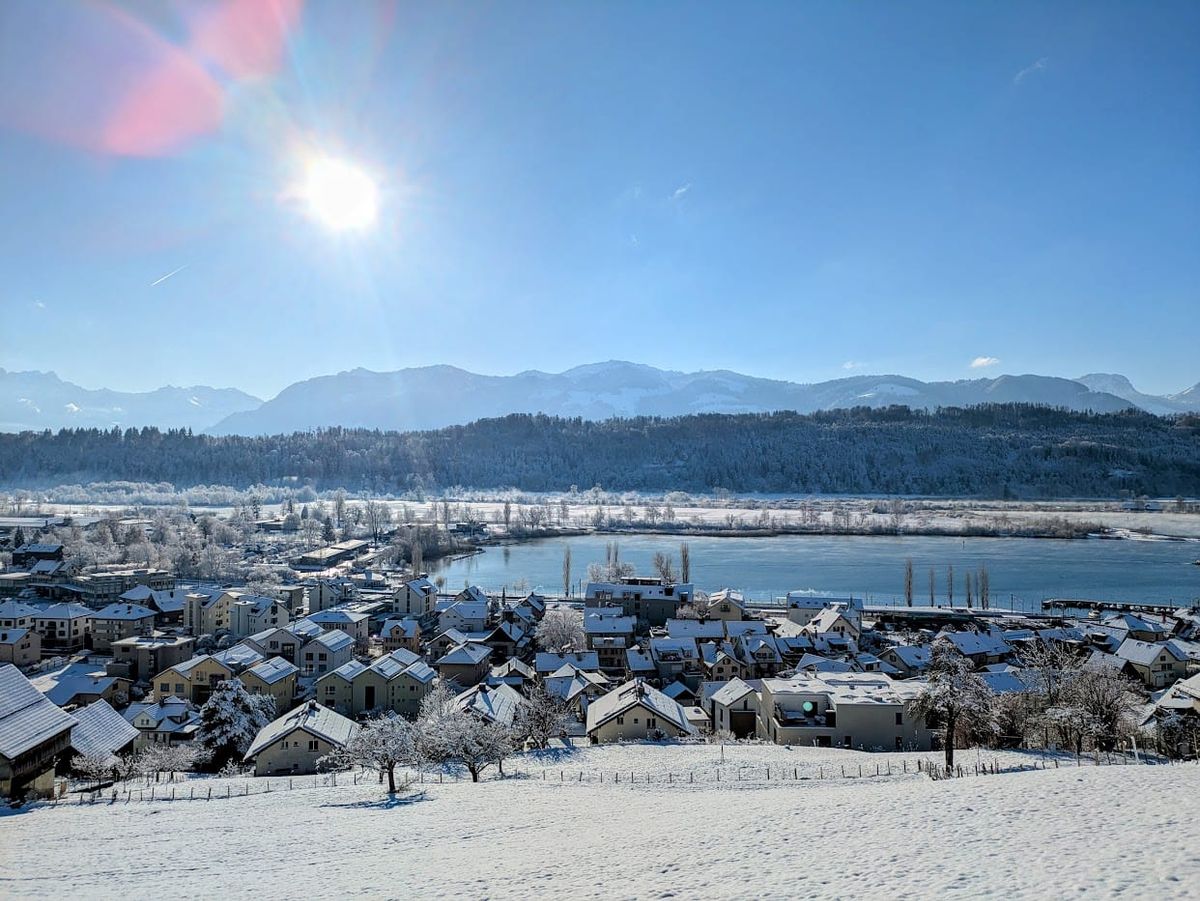 127'354 Webseiten-Besuche im 2025