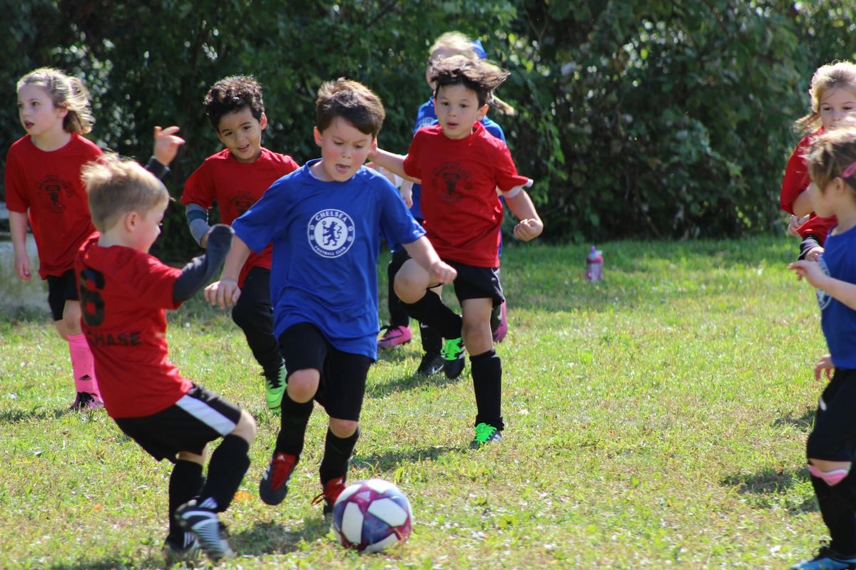 FC Schmerikon lädt zum 2. Schüler-Fussballturnier auf die Allmeind