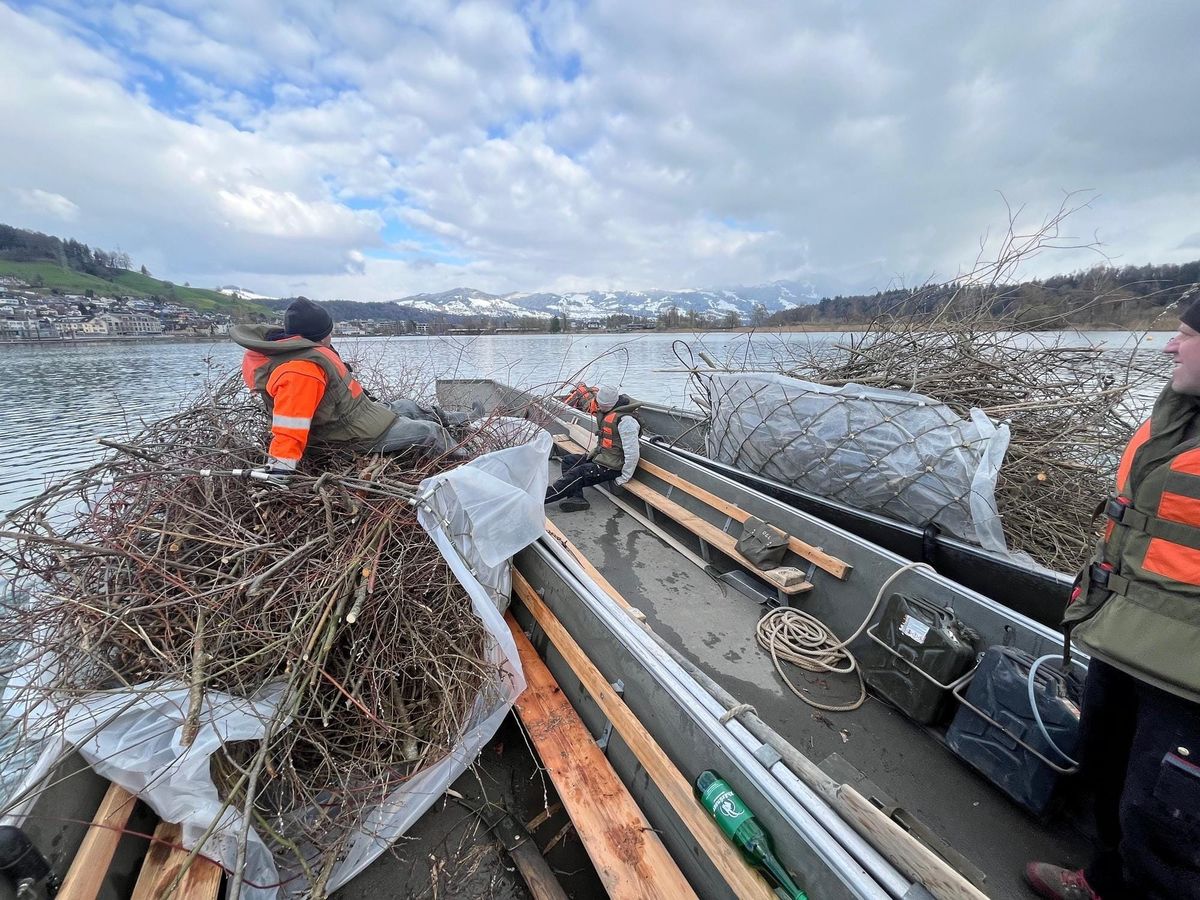 Frühlingsputz zu Land und zu Wasser: 80 Helfende packen kräftig an