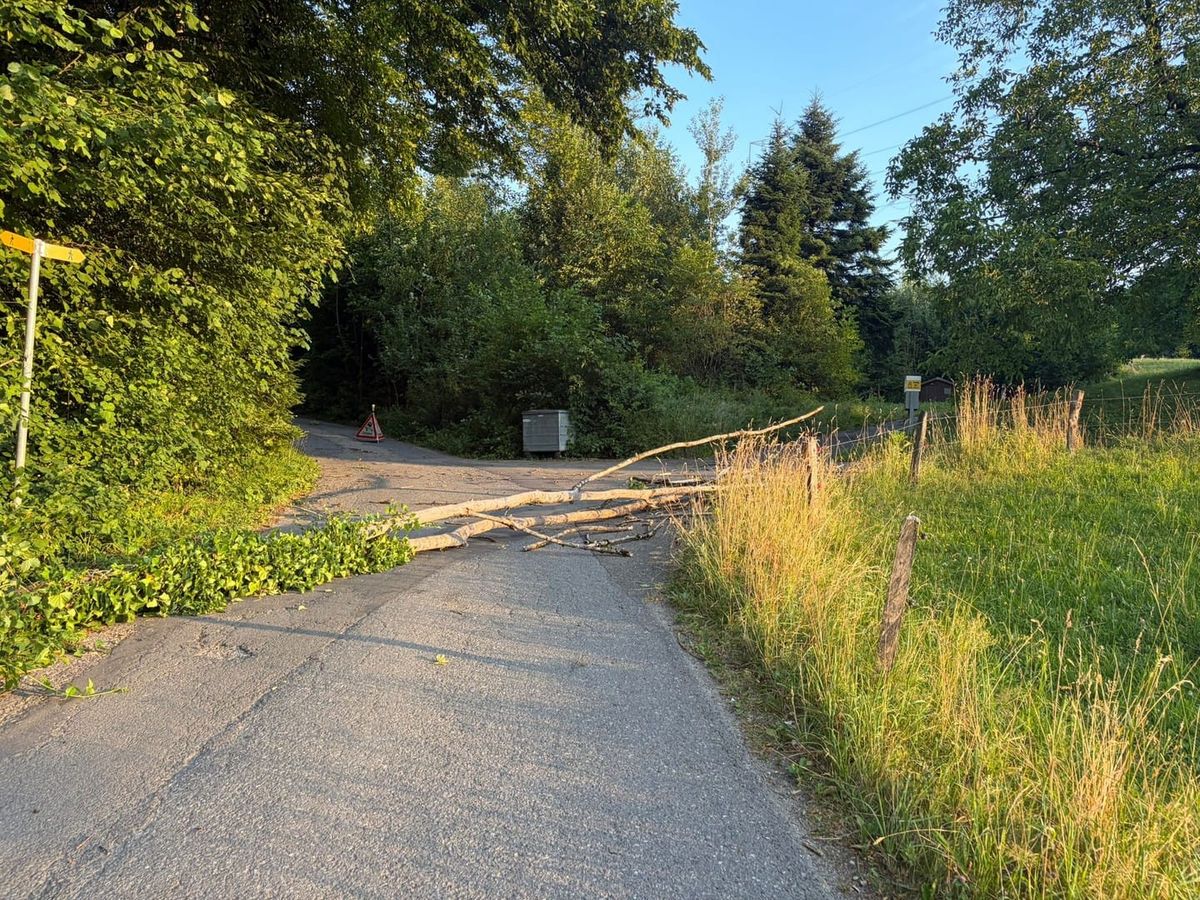 Investition in Drehleiter und stürmische Einsätze