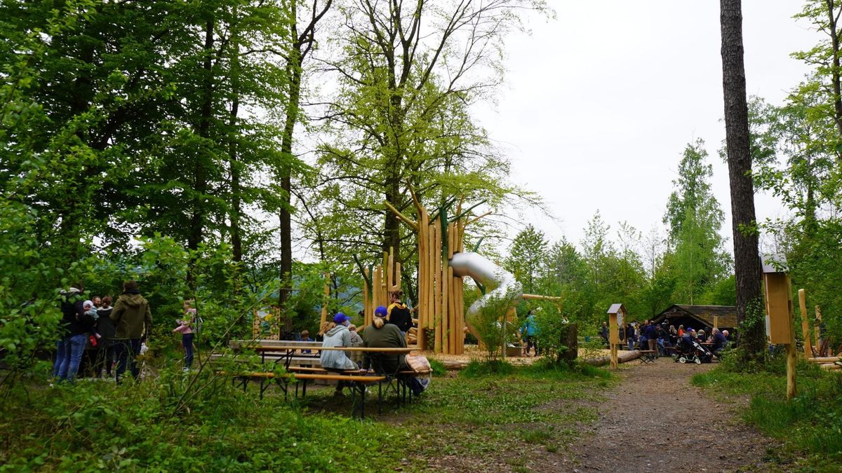 Föhrenwäldli in Schmerikon für Waldpreis nominiert