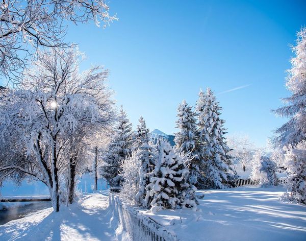 Ferienwohnung in Davos zu vermieten