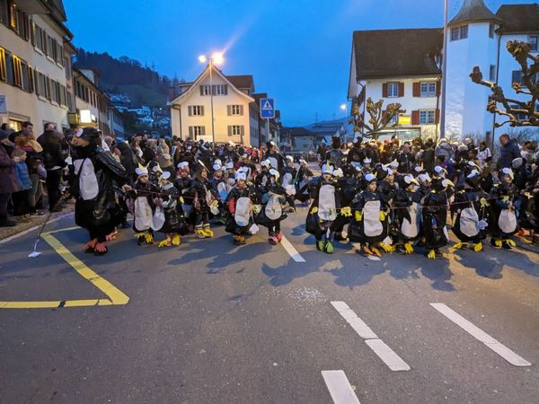 Impressionen vom Dämmerigsumzug 2024