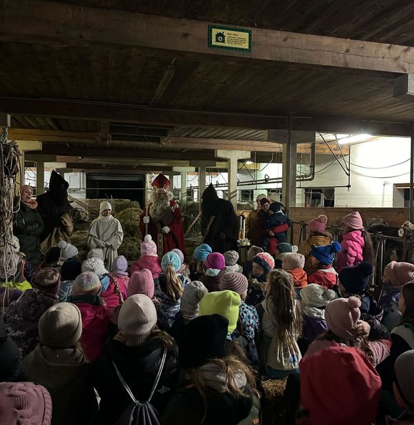 HoHoHooo - der Samichlaus bei der Meitliriege