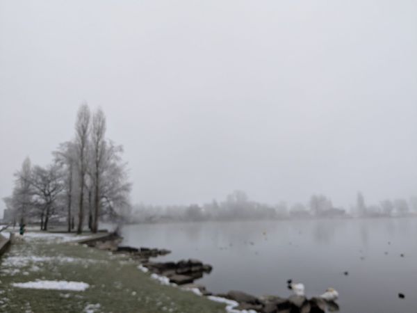 Keine Überraschungen an der Bürgerversammlung