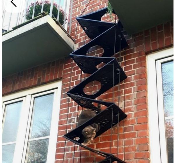 Gesucht: Wohnung in Schmerikon