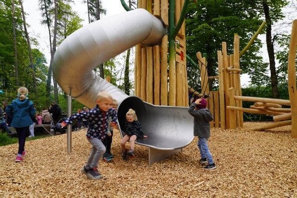 Mit Professor Dachs im Föhrenwäldli