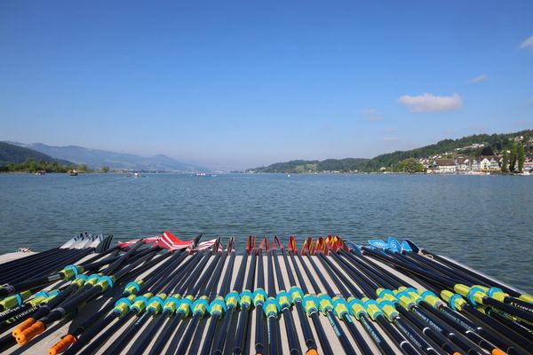 Die Ruderregatta in Schmerikon brillierte in allen Belangen