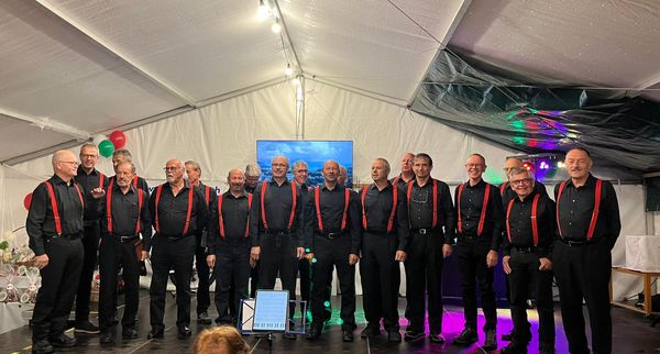 Sommerbühne 2025: Programm bis Ende Juni