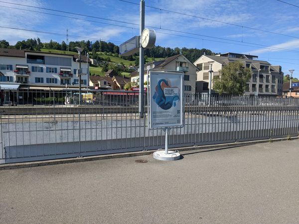 Blaualgen - Hundehalter zur Achtsamkeit aufgefordert