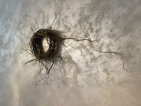 Kranz Workshops im November