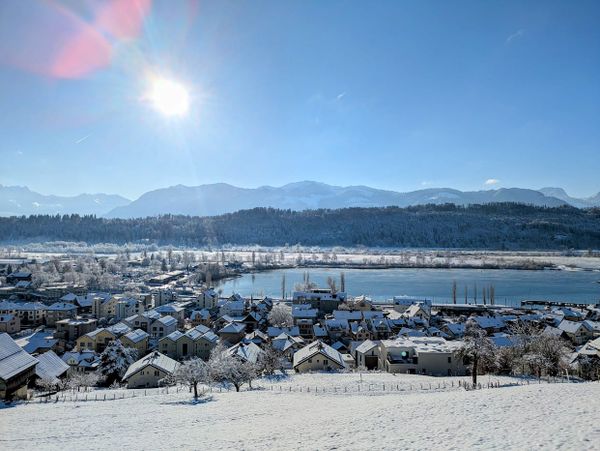 127'354 Webseiten-Besuche im 2025