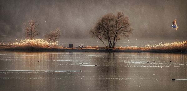 Ich see. Wir se(h)en. Sehdorf Schmerikon.