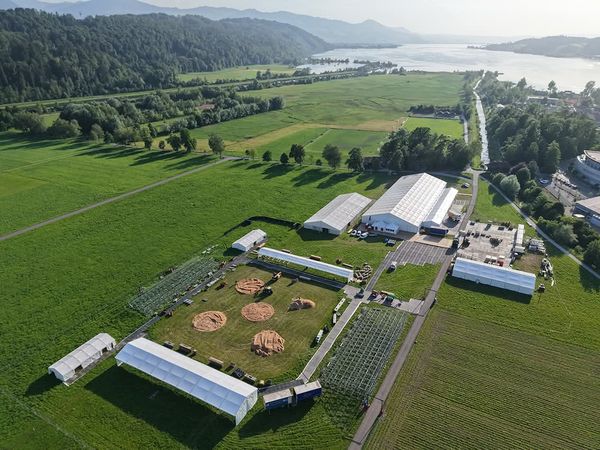Endspurt fürs 111. Kantonalschwingfest: Letzte Helfer gesucht